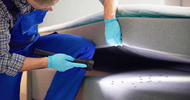 Best Pest Inspection Near Me  in Juno Beach, FL