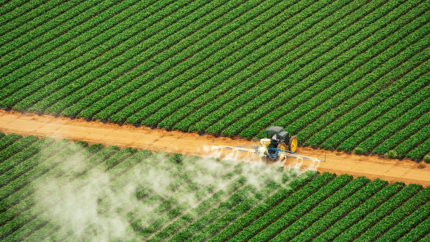Best Pest Control for Businesses  in Juno Beach, FL