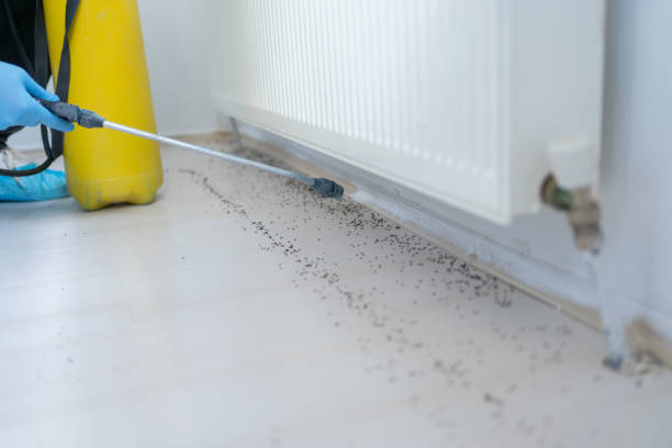 Best Cockroach Control Services  in Juno Beach, FL